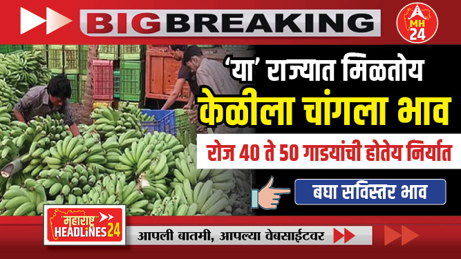 'या' राज्यात मिळतोय केळीला चांगला भाव; रोज ४० ते ५० गाडयांची होतेय निर्यात...