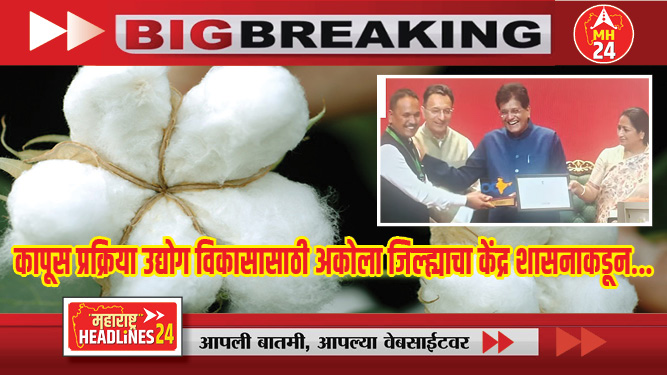 कापूस प्रक्रिया उद्योग विकासासाठी  अकोला जिल्ह्याचा केंद्र शासनाकडून...