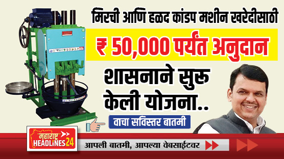 आता मिरची हळद कांडप टाकणे होणार सोपे, शासनाने सुरू केली योजना; किती अनुदान मिळणार ? वाचा सविस्तर