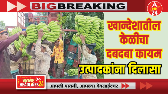 उत्तर भारतात गुजरात स्पर्धेत असतानाही खान्देशातील केळीचा दबदबा कायम ; उत्पादकांनाही दिलासा, किती मिळतोय भाव?; वाचा सविस्तर...