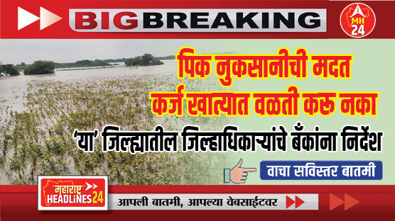 Compensation for crop damage : शेती पिक नुकसानीची मदत कर्ज खात्यात वळती करू नका; 'या' जिल्ह्यातील जिल्हाधिकाऱ्यांचे बँक व सहकारी संस्थांना निर्देश