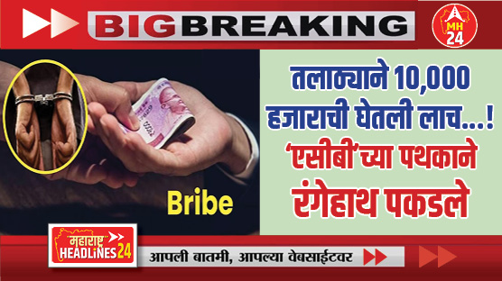 Nanded Bribe News : गलेलठ्ठ पगार असलेल्या तलाठ्याने दहा हजाराची घेतली लाच...! 'एसीबी'च्या पथकाने रंगेहाथ पकडले