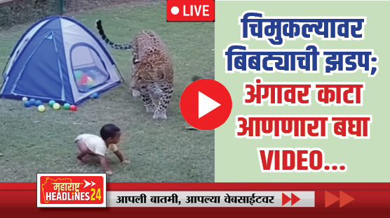 Leopard attacks toddler Viral VIDEO : बापरे! खूपच भयानक... अंगणात खेळणाऱ्या चिमुकल्यावर बिबट्याची झडप; अंगावर काटा आणणारा बघा Viral VIDEO...