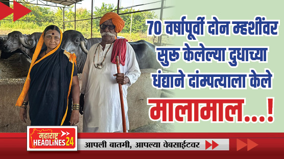 Success story milk business : यशोगाथा : ७० वर्षापूर्वी दोन म्हशींवर सुरू केलेल्या दुधाच्या धंद्याने दांम्पत्याला केले मालामाल...!  वाचा सविस्तर...